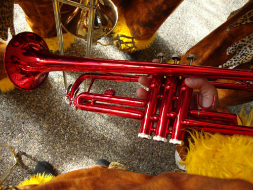 Championnat Suisse 2010 à Egerkigen