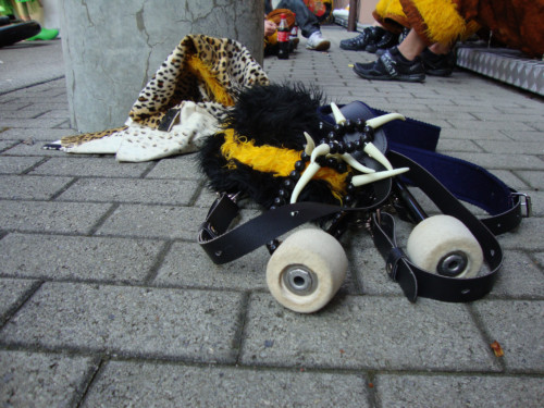 Championnat Suisse 2010 à Egerkigen