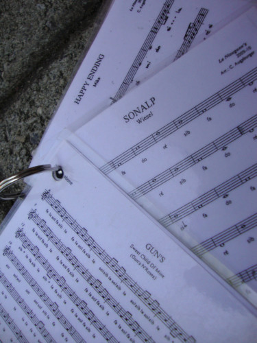 Championnat Suisse 2010 à Egerkigen