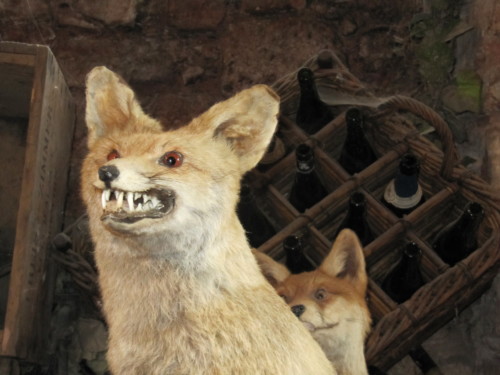 Sortie culturelle en Alsace