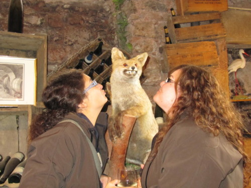 Sortie culturelle en Alsace