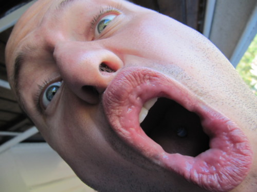 Sortie culturelle en Alsace