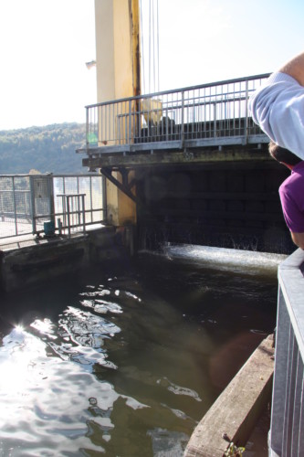 Sortie culturelle en Alsace