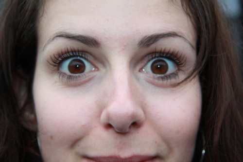 Sortie culturelle en Alsace