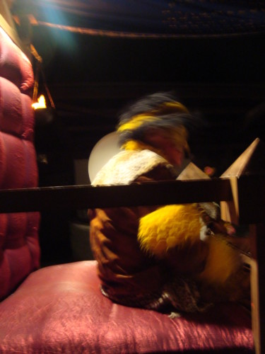 Carnaval d'Estavayer 2010