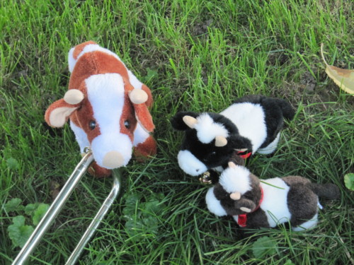 Braderie à Pailly en 2011