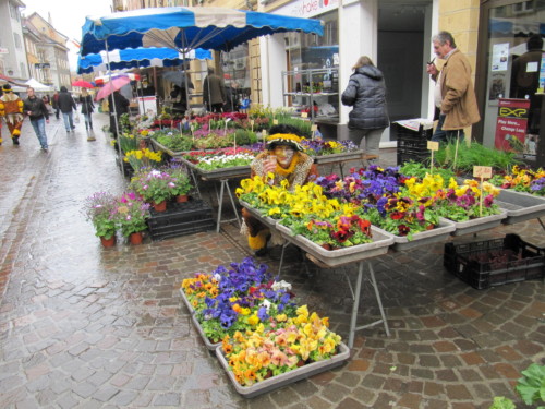 Brandons d'Yverdon 2011