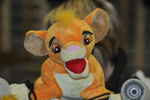 Séminaire annuel 2011