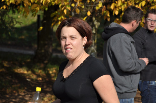 Séminaire annuel 2011