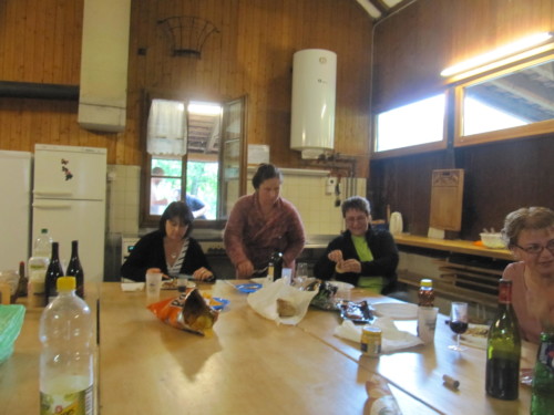 Pic nic annuel 2011 à Pailly