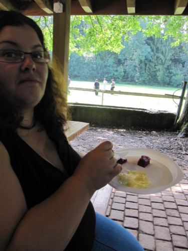 Pic nic annuel 2011 à Pailly