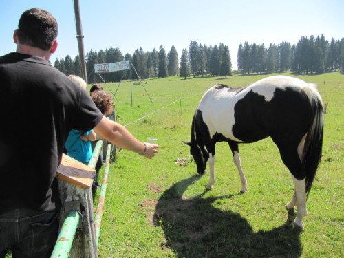 Pic nic annuel 2012 aux Diablerets