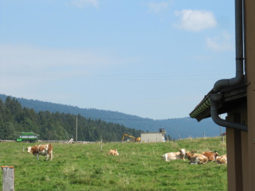 Pic nic annuel 2012 aux Diablerets