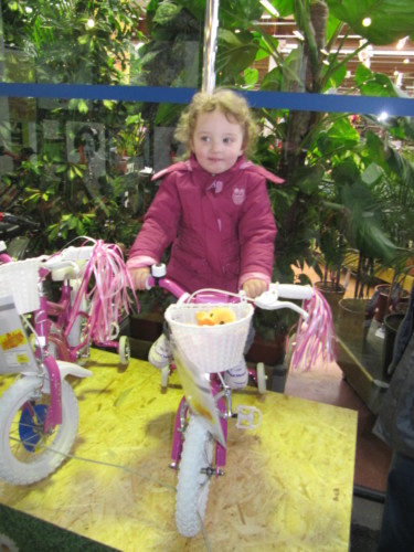 Brandons d'Yverdon 2013