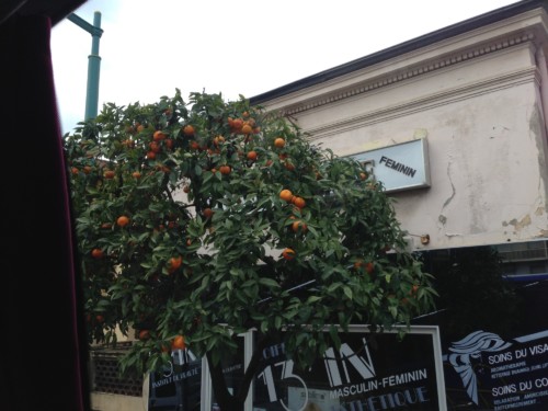 Carnaval de Nice 2013