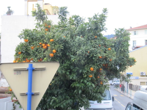 Carnaval de Nice 2013