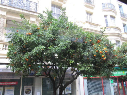 Carnaval de Nice 2013