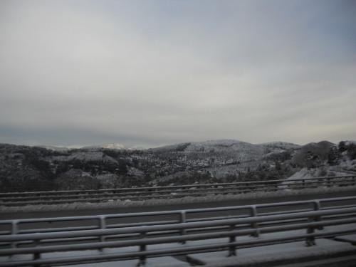 Carnaval de Nice 2013