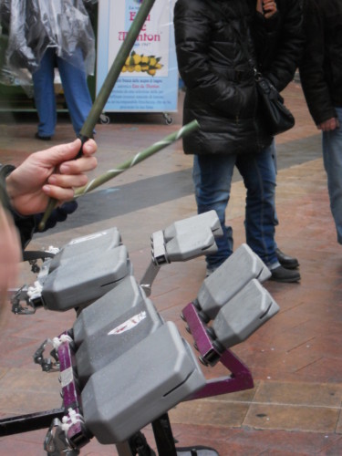 Carnaval de Nice 2013