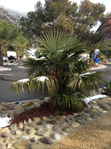 Carnaval de Nice 2013