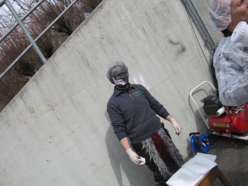 2013 - Carnaval d'Orbe