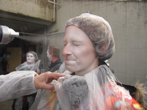 2013 - Carnaval d'Orbe