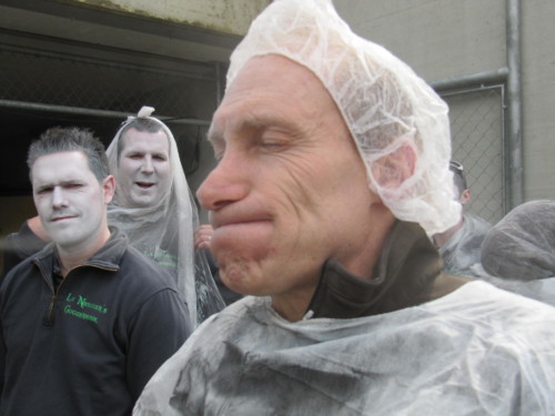 2013 - Carnaval d'Orbe