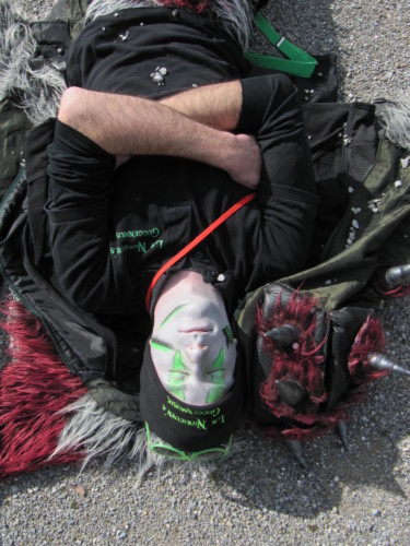 Carnaval des Bolzes à Fribourg en 2014