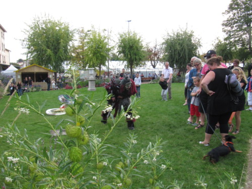 2015 – Montbrison (France)