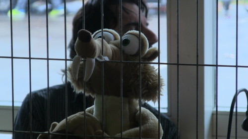 20ans NG's - dimanche