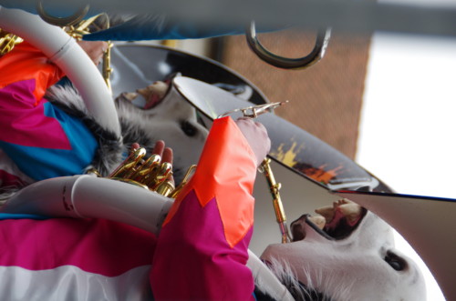 Brandons d'Yverdon 2018